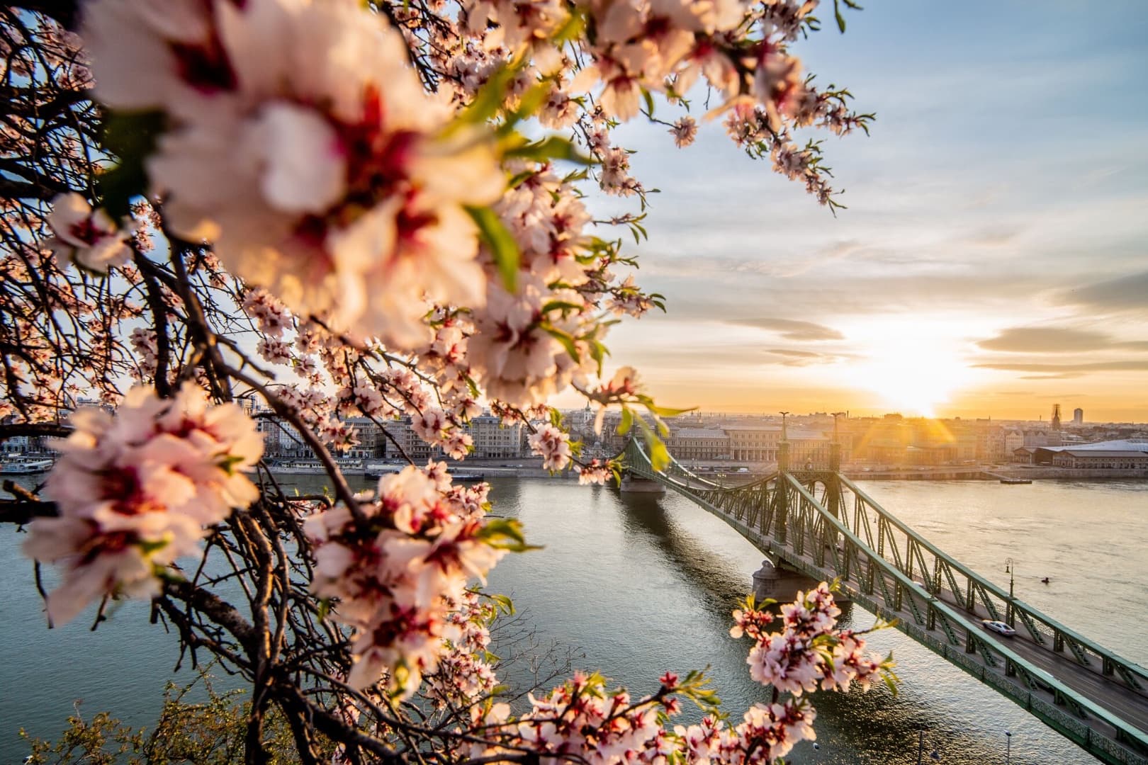 Természet és Túra